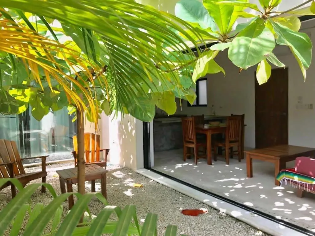 Best Location Apartment With Pool Tulum